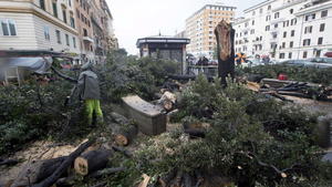 epa04480399 Workers clear away a fallen tree that injured a woman after a torrential rain in Rome, Italy, 07 November 2014. Much of Italy remained on maximum weather alert on Friday as the wave of storms and torrential rain that has caused huge disruption and floods in many areas continued. EPA/CLAUDIO PERI +++(c) dpa - Bildfunk+++