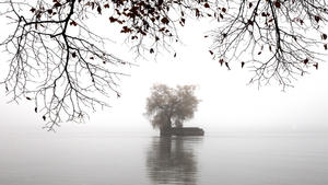 Im Nebel liegt am 14.11.2014 eine kleine Insel auf dem Bodensee bei Lindau (Bayern). Foto: Karl-Josef Hildenbrand/dpa +++(c) dpa - Bildfunk+++