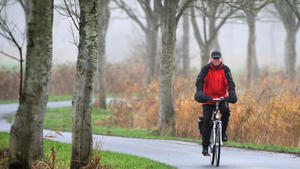 Ein Radfahrer fährt am 09.12.2014 bei nebligem Wetter über eine friesische Landstraße bei Wiefels (Niedersachsen). Foto: Ingo Wagner/dpa +++(c) dpa - Bildfunk+++