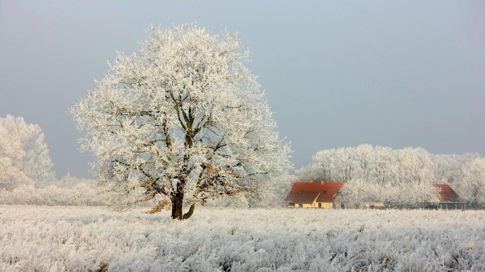 Wann sind meteorologischer und kalendarischer Winteranfang ...