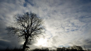 Wolken ziehen am 30.12.2014 in Havighorst (Schleswig-Holstein) hinter einem Feld mit einem Baum vorbei. Foto: Daniel Bockwoldt/dpa +++(c) dpa - Bildfunk+++