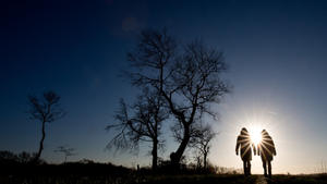 dpatopbilder Zwei Frauen gehen am 04.01.2015 bei blauem Himmel und strahlendem Sonnenschein auf einem Feldweg bei Wallen (Schleswig-Holstein) spazieren. Foto: Christian Charisius/dpa +++(c) dpa - Bildfunk+++