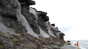 Bilder von der erodierenden SteilkÃ¼ste der kleinen, russischen Insel Muostakh -Ã¶stlich der Hafenstadt Tikisi gelegen. Auf diesem Bild lÃ¤sst sich erahnen, warum man in den Anfangszeiten der Permafrostforschung vermutete, es befÃ¤nden sich keine Eiskeile, sondern ganz Gletscher im Untergrund. Foto: Thomas Opel, Alfred-Wegener-Institut