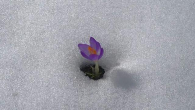 Ist es zu warm oder zu kalt? Wie normal oder unnormal waren die letzten Wochen und Monate und das aktuelle Jahr bisher? Wir vergleichen die aktuellen Messwerte mit dem Klimamittel und schauen auf mögliche Prognosen für das gesamte Jahr.