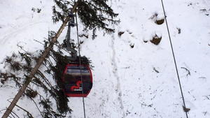 dpatopbilder epa04649005 A tree sits on a near Selva di Val Gardena, Italy, 05 March 2015. A disaster was narrowly averted in the Val Gardena area of the Dolomites in northern Italy when a tree fell on to the Ciampinoi cable car. One of the the pinions linked to the cables became detached, but the car did not fall to the ground. None its 200 occupants was injured. EPA/FRANCESCO BONSANTE +++(c) dpa - Bildfunk+++