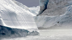 ACHTUNG: DIESER BEITRAG DARF NICHT VOR DER SPERRFRIST, 23. März 17.00 UHR, VERÖFFENTLICHT WERDEN! EIN BRUCH DES EMBARGOS KÖNNTE DIE BERICHTERSTATTUNG ÜBER STUDIEN EMPFINDLICH EINSCHRÄNKEN. ARCHIV - Eisberge treiben am 16.08.2007 im Eisfjord von Ilulissat auf Grönland. Der Golfstrom hat sich einer Studie zufolge im Laufe des 20. Jahrhunderts so stark verlangsamt wie anscheinend seit tausend Jahren nicht, was auch mit der Eisschmelze auf Grönland zu tun haben kann. Foto: Ulrich Scharlack/dpa (zu dpa: "Studie: Der Golfstrom wird schwächer" vom 23.03.2015) +++(c) dpa - Bildfunk+++