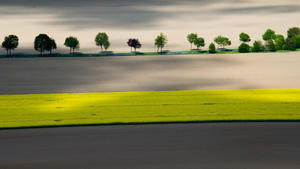 Sonne und Wolken sorgen am 07.05.2015 für Licht und Schatten auf Feldern bei Algermissen im Landkreis Hildesheim (Niedersachsen) (Lufaufnahme). Foto: Julian Stratenschulte/dpa +++(c) dpa - Bildfunk+++