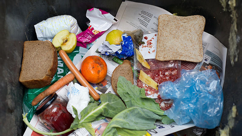 Lebensmittel liegen in einer Mülltonne in Frankfurt (Oder)(Foto vom 13.03.2012). Verbraucher in Bayern werfen jedes Jahr 65 Kilo Lebensmittel wegFoto: Patrick Pleul/dpa  +++(c) dpa - Bildfunk+++