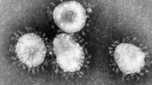Neue Gefahr? Riesige Viren aus dem Eis