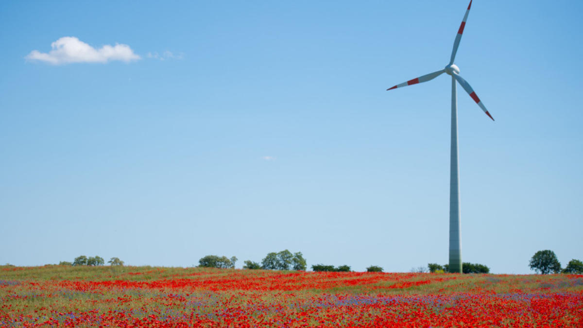 Tag des Windes: Bedeutung der Windenergie steigt | wetter.de