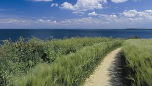 Ein Feldweg führt über eine Düne zum Meer.
