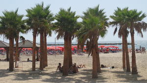 Einige Menschen haben am 17.08.2015 am Strand von Tel Aviv (Israel) im Schatten der Palmen Schutz vor der Sonne gesucht. Foto: Sara Lemel/dpa (zu dpa «Israelis und Palästinenser leiden unter extremer Hitzewelle» vom 17.08.2015) +++(c) dpa - Bildfunk+++