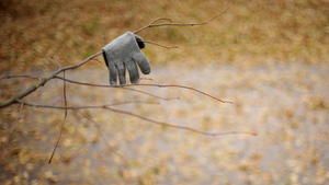 epa04999964 A glove hangs on a twig at the Talalikhina park set in autumnal colours in Podolsk, outside Moscow, Russia, 28 October 2015. EPA/MAXIM SHIPENKOV +++(c) dpa - Bildfunk+++