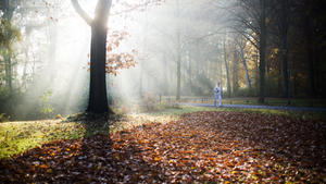 Ein Mann läuft am 04.11.2015 durch den Tiergarten in Berlin. Die Strahlen der Morgensonne werden dabei im Morgennebel gebrochen. Foto: Lukas Schulze/dpa +++(c) dpa - Bildfunk+++