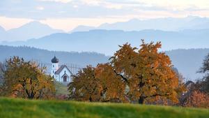 Die Abendsonne strahlt am 04.11.2015 die Georgs-Kapelle samt der herbstlich gefärbten Bäume im Vordergrund in Dietmannsweiler (Baden-Württemberg) an, während die Alpen im Hintergrund zu sehen sind. Foto: Felix Kästle/dpa +++(c) dpa - Bildfunk+++