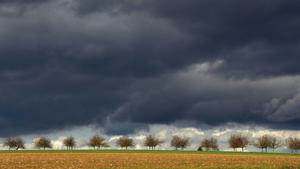 Eine dunkle Wolkendecke zieht am 09.11.2015 bei Calden (Hessen) über eine Reihe kahler, von der Sonne beschienener Obstbäume hinweg. Nach den Vorhersagen bleibt es weiterhin mild. Foto: Uwe Zucchi /dpa +++(c) dpa - Bildfunk+++