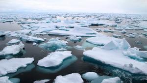 Warmwassereinfluss verändert arktische Meereslebensräume