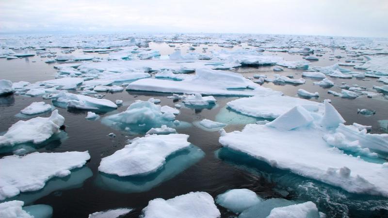 Warmwasser verändert arktische Meereslebensräume