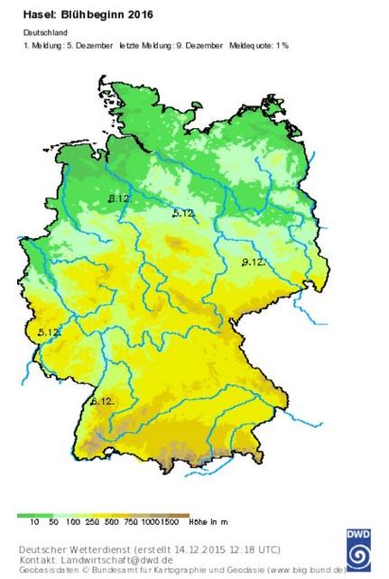Der Deutsche Wetterdienst verzeichnet bereits Anfang Dezember Haselpollen.