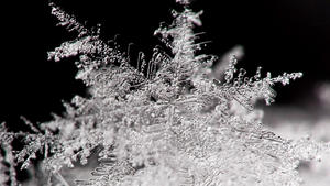 ARCHIV - Ein Schneekristall, aufgenommen am 06.01.2010 in Frankfurt (Oder) mit einem speziellen Makro-Objektiv. Er ist fluffig, flockig, kalt - und die Eskimos geben ihm rund 100 verschiedene Namen. Flocken, die in deutschen Regionen fallen, können bis zu fünf Millimeter groß werden. Foto: Patrick Pleul dpa (zu dpa 0486 vom 02.12.2010)  +++(c) dpa - Bildfunk+++