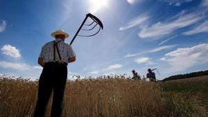 Landwirte erklärten sich einst wiederkehrende Wetterphänomene, die ihre Ernte beeinflussten, mit Regeln - oft in Reimform zum besseren Merken. Heute kennen wir diese als Bauernregeln. Foto: Arno Burgi