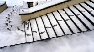 Fußspuren zeichnen sich am 05.02.2016 auf einer mit Schnee bedeckten Treppe im Park des Schlosses Linderhof bei Ettal (Bayern) ab. Foto: Karl-Josef Hildenbrand /dpa