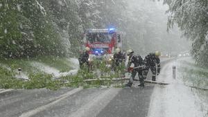Einsatzkräfte der Feuerwehr räumen im Bezirk Graz am Abend des 27.04.2016 einen umgestürzten Baum von der Straße. Der überraschende Wintereinbruch mit nassem Schnee hat in weiten Teilen Südösterreichs für Behinderungen und Stromausfälle gesorgt. - FOTO: APA/BFVGU ABSCHNITT 6 - ACHTUNG: Das Bild darf nur redaktionell und im Zusammenhang mit dem genannten Text bei Nennung des Copyrights «APA/BFVGU ABSCHNITT 6» verwendet werden! +++(c) dpa - Bildfunk+++