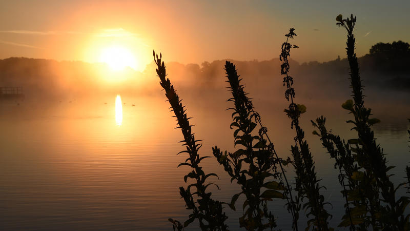 Die Sonne geht am 31.08.2016 über einem Baggersee bei Isernhagen in der Region Hannover (Niedersachsen) auf. Der meteorologische Sommer endet am 31. August. 