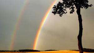 Frankfurt (Oder) (Brandenburg): Über einem Feld nahe Frankfurt (Oder) in Brandenburg zeichnet sich am 22.09.2004 ein doppelter Regenbogen ab. Zum Herbstanfang zeigt sich das Septemberwetter wechselhaft. Nach Angaben der Meteorologen hält das Wetter mit Regenschauern, stürmischem Wind und Sonnenschein bis zum Wochenende an. (Ffo101-230904)