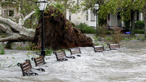 Storm surge and rainwater burst the banks of Colonial Lake and partially submerge park benches after Hurricane Matthew hit Charleston, South Carolina October 8, 2016.   REUTERS/Jonathan Drake