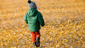 Ein Junge läuft am 19.10.2015 in Hannover (Niedersachsen) auf einer mit herbstlich verfärbten Blätter bedeckten Allee. Foto: Julian Stratenschulte/dpa | Verwendung weltweit