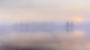 Morgennebel ueber einem See, Schweden, Lappland, Norrbotten morning mist over a lake, Sweden, Lapland, Norrbotten BLWS438940 Copyright: xblickwinkel/McPHOTO/G.xStreuxMorning fog About a Lake Sweden Lapland Norrbotten Morning Crap Over a Lake Sweden Lapland Norrbotten Copyright xblickwinkel McPHOTO G xStreux