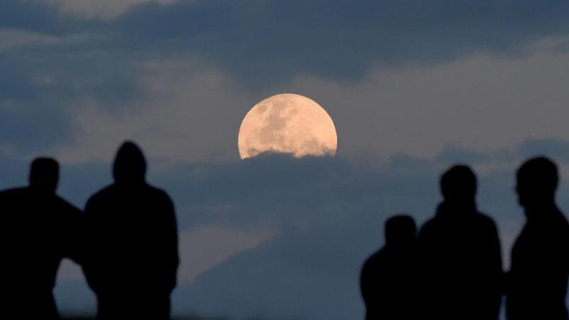 Supermond in Sydney