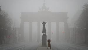 dpatopbilder Eine Passantin fotografiert am 16.11.2016 in Berlin im Nebel das Brandenburger Tor. +++(c) dpa - Bildfunk+++