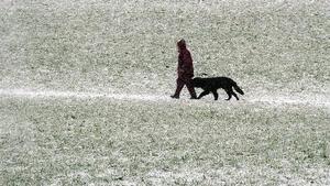 In warmer Winterkleidung geht ein Mann am Dienstag (09.11.2004) nahe dem niederbayerischen Viechtach (Landkreis Regen) bei Schneefall mit seinem Hund spazieren. In Bayern ist das Wetter winterlich, Schnee fällt dabei bis unter 300 m herab. Nach Angaben der Meteorologen wird sich die Lage ab Mittwoch aber wieder beruhigen. Die Temperaturen steigen über den Gefrierpunkt auf ein bis fünf Grad, im Alpenrandgebiet wird Regen erwartet. Mit Schnee wird nur noch in Lagen ab 1000 Metern gerechnet. Foto: Armin Weigel dpa/lby