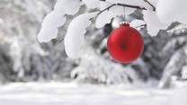 Red Christmas ornament outdoors on a snow covered tree closeup artistic holiday background winter nature scenic | Verwendung weltweit, Keine Weitergabe an Wiederverkäufer.