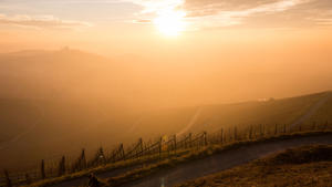 Dichter Nebel liegt am 07.12.2016 über einem Weinanbaugebiet bei Stuttgart (Baden-Württemberg), während im Hintergrund die Sonne untergeht. +++(c) dpa - Bildfunk+++
