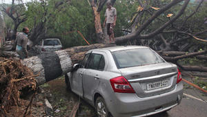 A man stands on a fallen tree that fell on a vehicle after it was uprooted by strong winds caused by cyclone Vardah, in Chennai, India, December 13, 2016. REUTERS/Stringer FOR EDITORIAL USE ONLY. NO RESALES. NO ARCHIVES.
