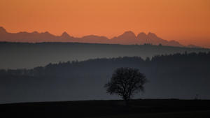 Nebel liegt am 14.12.2016 bei Owingen (Baden-Württemberg) nach Sonnenuntergang über dem Bodensee und in den Senken, während im Hintergrund die Alpen in der Schweiz zu sehen sind. Foto: Felix Kästle/dpa Foto: Felix Kästle/dpa +++(c) dpa - Bildfunk+++