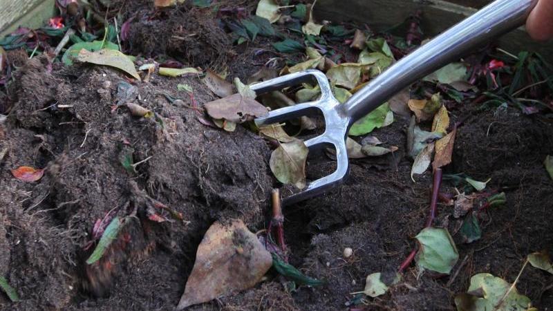 Garten im Februar Düngen, gießen, säen welche Arbeiten