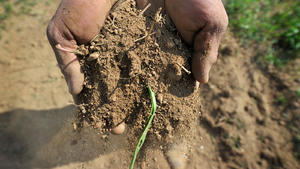 ARCHIV - Staubtrocken ist die Erde von einem Acker, die ein Landwirt in Nieder-Erlenbach am 04.05.2011 durch seine Finger rinnen läßt. (zu lhe "Anhaltende Trockenheit bereitet Landwirten und Förstern Sorge" vom 08.04.2017) Foto: Boris Roessler/dpa +++(c) dpa - Bildfunk+++