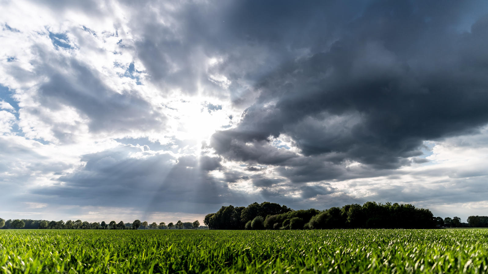 7-Tage-Wettertrend vom 19.05.2017: Wie wird das Wetter an ...