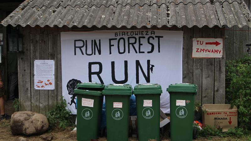 Polen: Letzter Urwald vor der Abholzung