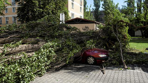 A car is seen, hit by a fallen tree after a heavy storm in Warsaw, Poland June 29, 2017. Picture taken on June 29, 2017. Agencja Gazeta/Dawid Zuchowicz via REUTERS ATTENTION EDITORS - THIS IMAGE WAS PROVIDED BY A THIRD PARTY. POLAND OUT. NO COMMERCIAL OR EDITORIAL SALES IN POLAND.