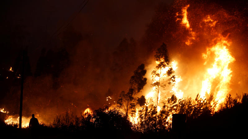 Auch in Portugal wüten heftige Waldbrände.