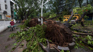 A man rides his scooter past uprooted trees after Typhoon Hato hits Zhongshan, Guangdong province, China August 23, 2017. Picture taken August 23, 2017. REUTERS/Stringer ATTENTION EDITORS - THIS IMAGE WAS PROVIDED BY A THIRD PARTY. CHINA OUT. NO COMMERCIAL OR EDITORIAL SALES IN CHINA.