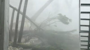 Palm trees are uprooted as Hurricane Irma hits Tortola, British Virgin Islands September 7, 2017, in this still image taken from social media video. MANDATORY CREDIT Andrea Friedlander/via REUTERS  THIS IMAGE HAS BEEN SUPPLIED BY A THIRD PARTY. MANDATORY CREDIT. NO RESALES. NO ARCHIVES