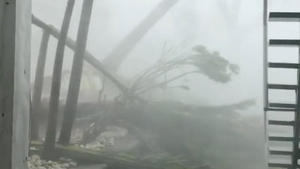 Palm trees are uprooted as Hurricane Irma hits Tortola, British Virgin Islands September 7, 2017, in this still image taken from social media video. MANDATORY CREDIT Andrea Friedlander/via REUTERS THIS IMAGE HAS BEEN SUPPLIED BY A THIRD PARTY. MANDATORY CREDIT. NO RESALES. NO ARCHIVES