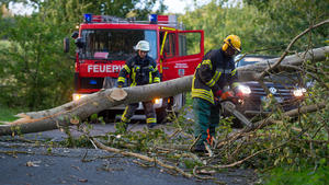 Ein Feuerwehrmann zerkleinert am 13.09.2017 in Ebstorf (Niedersachsen) einen umgestürzten Baum mit einer Motorsäge. Foto: Philipp Schulze/dpa +++(c) dpa - Bildfunk+++