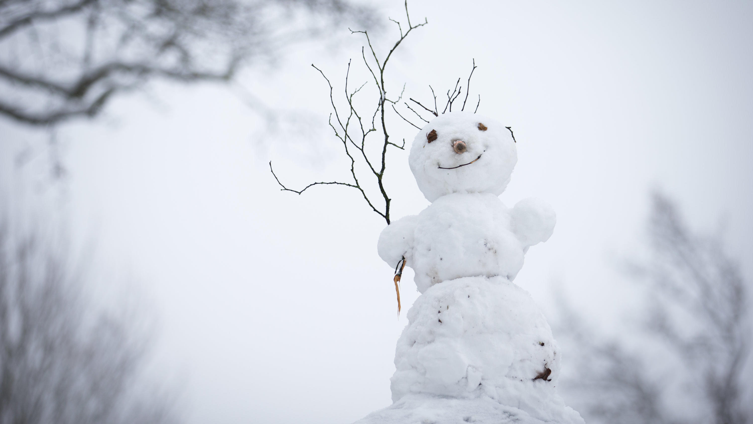 Ein Schneemann steht am 03.12.2017 auf dem Johannisberg in Bielefeld (Nordrhein-Westfalen). Weite Teile von Ostwestfalen liegen zum ersten Mal in diesem Winter in Schnee gehüllt bei Temperaturen um den Gefrierpunkt. Foto: Friso Gentsch/dpa +++(c) dpa